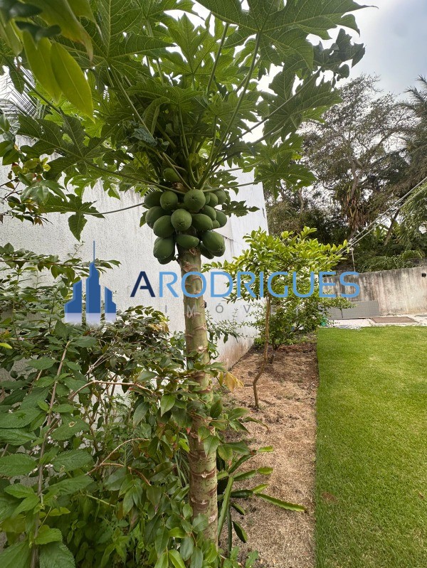 Casa, 4 quartos, 250 m² - Foto 21