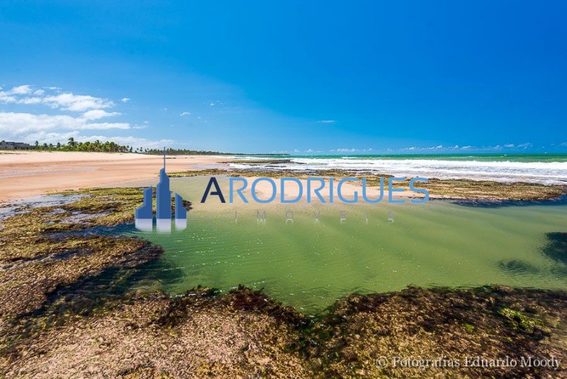 Prédio Inteiro, 8094 m² - Foto 4