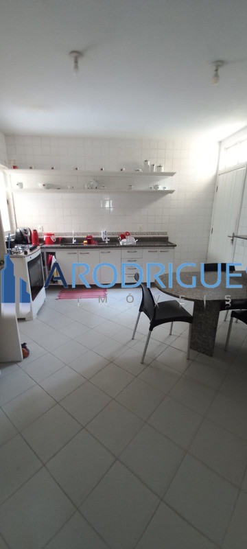 Casa, 4 quartos, 516 m² - Foto 6