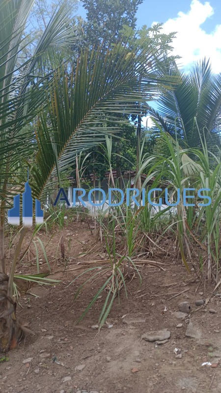 Chácara, 2 quartos, 2 hectares - Foto 3