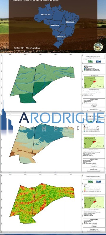 Fazenda, 7000 hectares - Foto 4