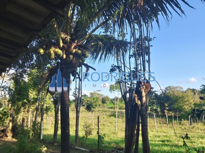 Sítio, 3 quartos, 3 hectares - Foto 12
