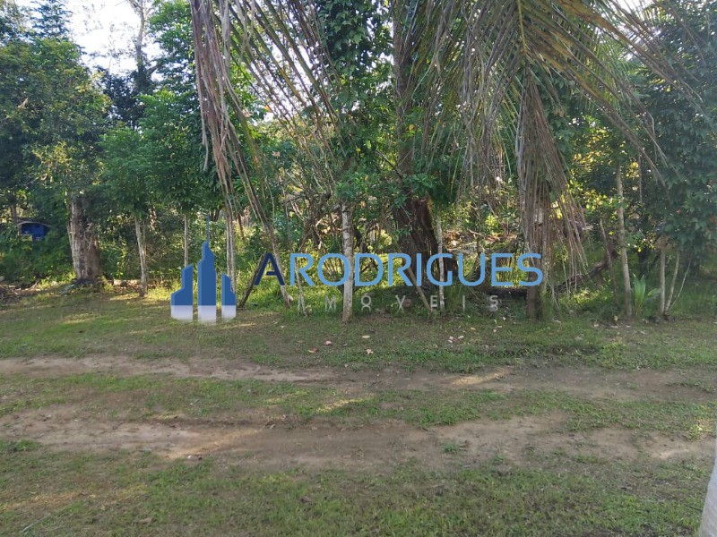 Sítio, 3 quartos, 3 hectares - Foto 8