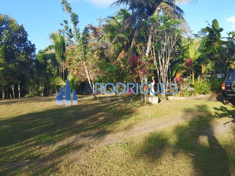 Sítio, 3 quartos, 3 hectares - Foto 11