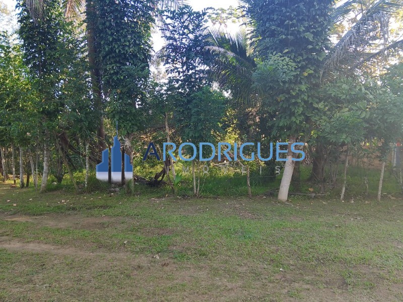 Sítio, 3 quartos, 3 hectares - Foto 10