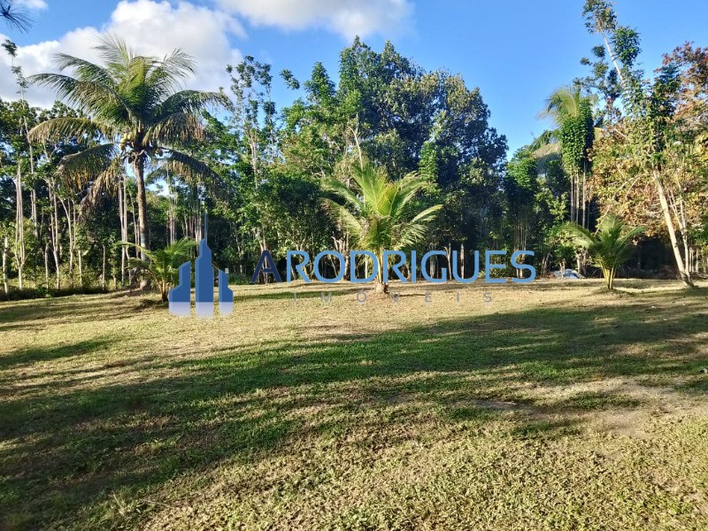 Sítio, 3 quartos, 3 hectares - Foto 7