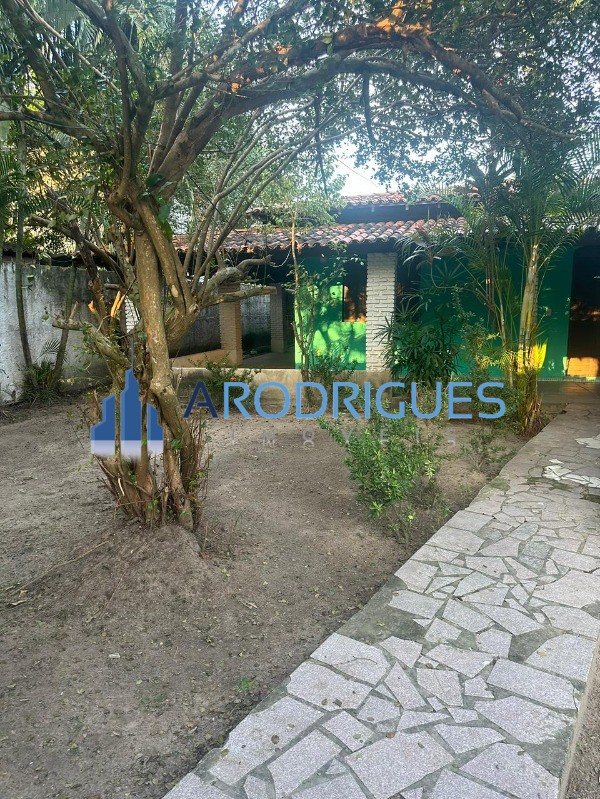 Sítio, 3 quartos, 3000 m² - Foto 8