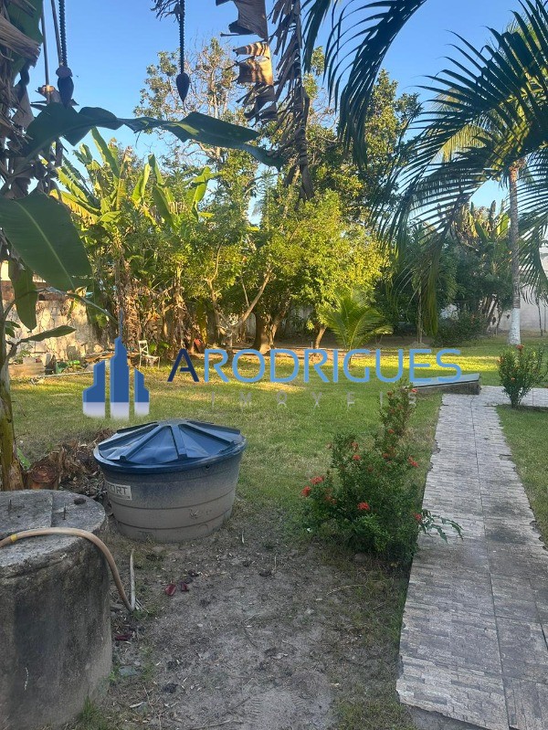 Sítio, 3 quartos, 3000 m² - Foto 30