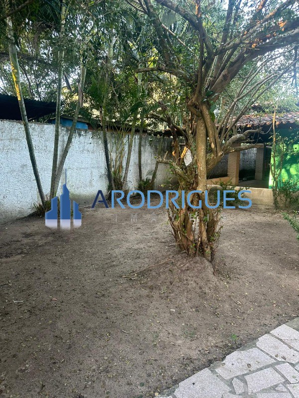Sítio, 3 quartos, 3000 m² - Foto 13