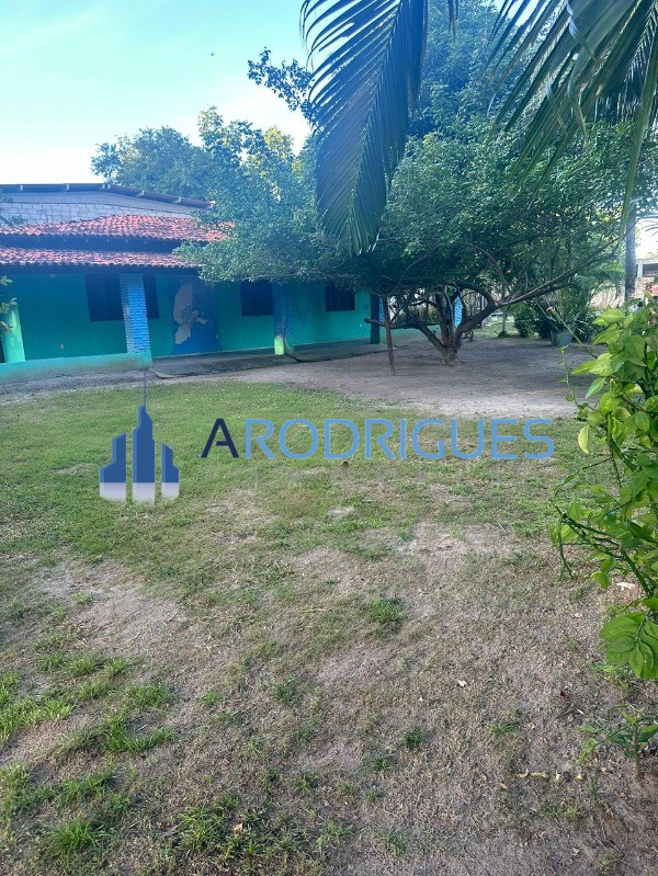Sítio, 3 quartos, 3000 m² - Foto 4