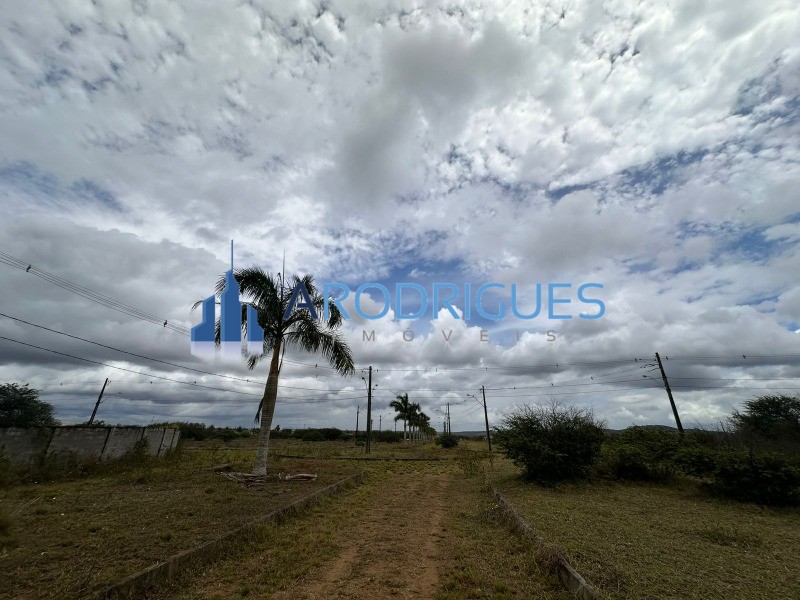 Terreno, 39 hectares - Foto 3