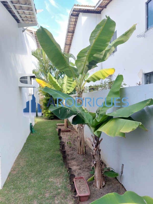 Casa, 4 quartos, 500 m² - Foto 14