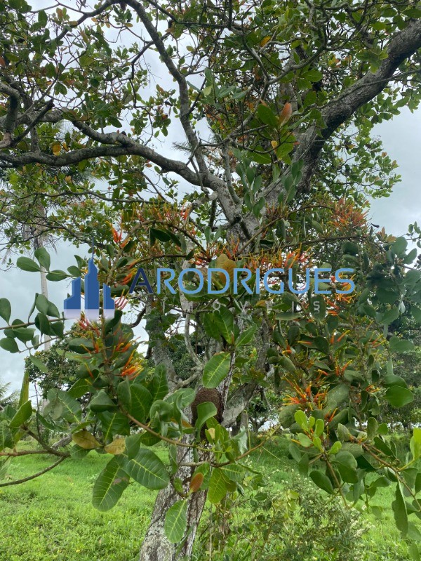 Fazenda, 4356 m² - Foto 19