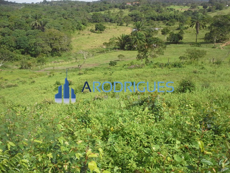 Fazenda - Foto 8