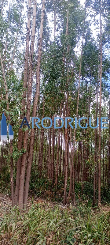 Fazenda, 453 m² - Foto 8