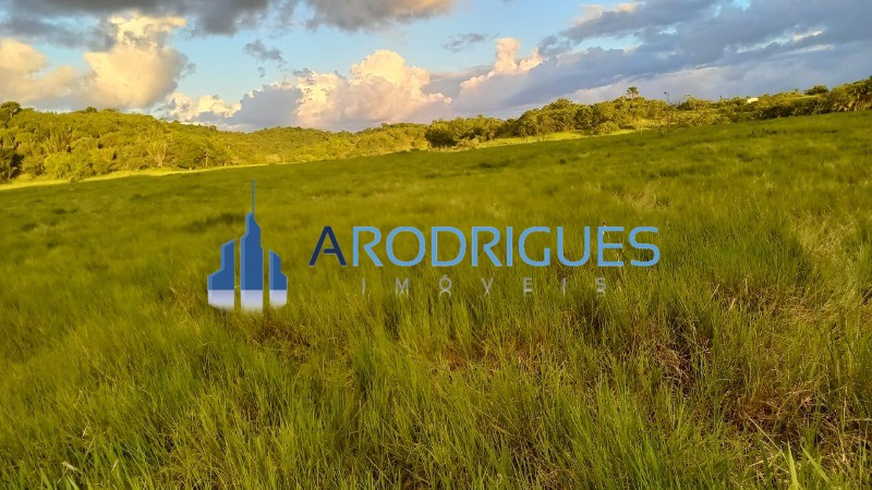 Loteamento e Condomínio, 4 hectares - Foto 3