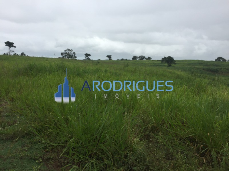 Fazenda - Foto 3