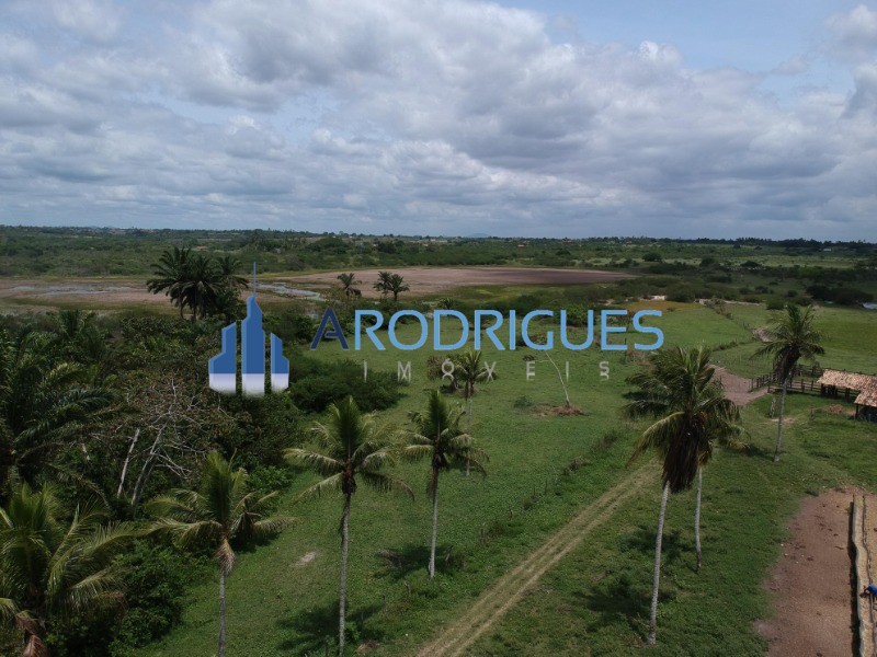 Fazenda, 4356 m² - Foto 14