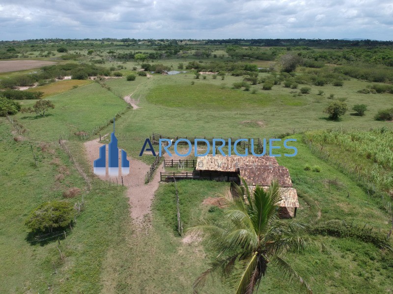 Fazenda, 4356 m² - Foto 7
