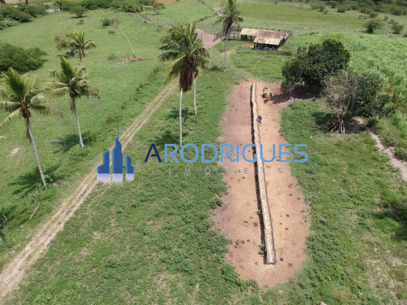 Fazenda, 4356 m² - Foto 13