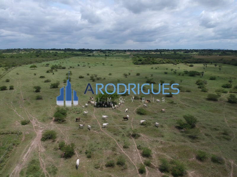 Fazenda, 4356 m² - Foto 12