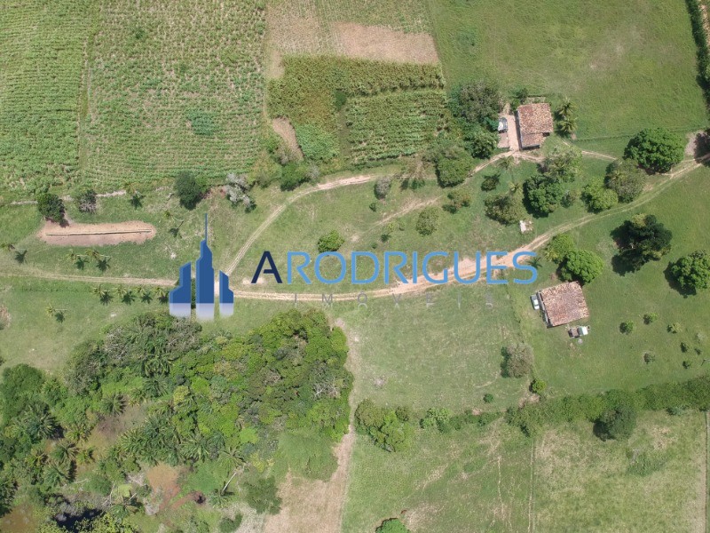 Fazenda, 4356 m² - Foto 18