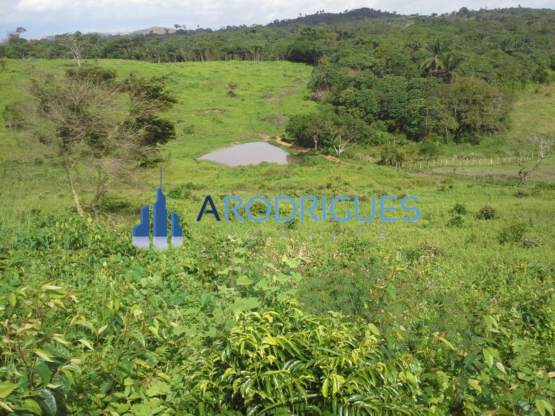 Fazenda - Foto 7