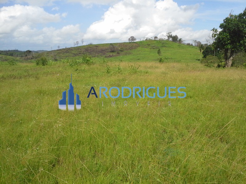 Fazenda - Foto 6