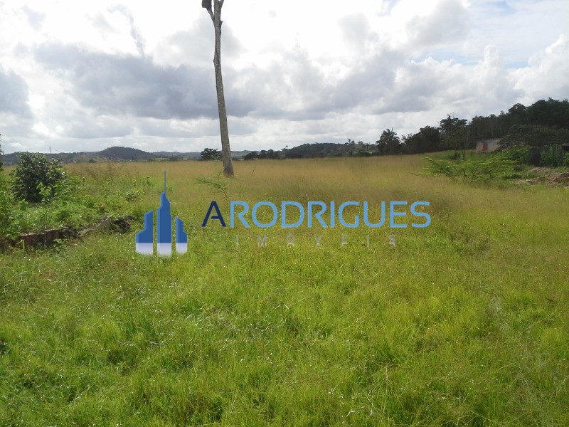 Loteamento e Condomínio, 12 hectares - Foto 3