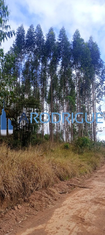 Fazenda, 453 m² - Foto 12