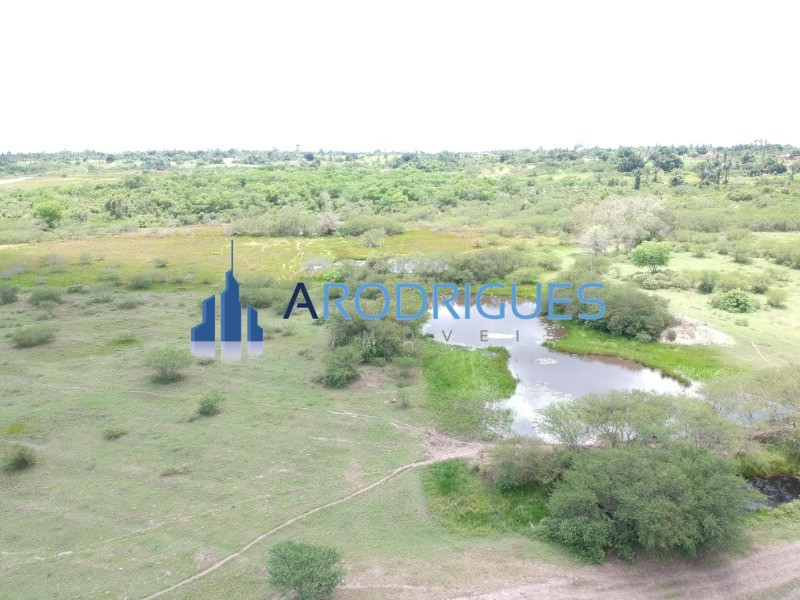 Fazenda, 4356 m² - Foto 9