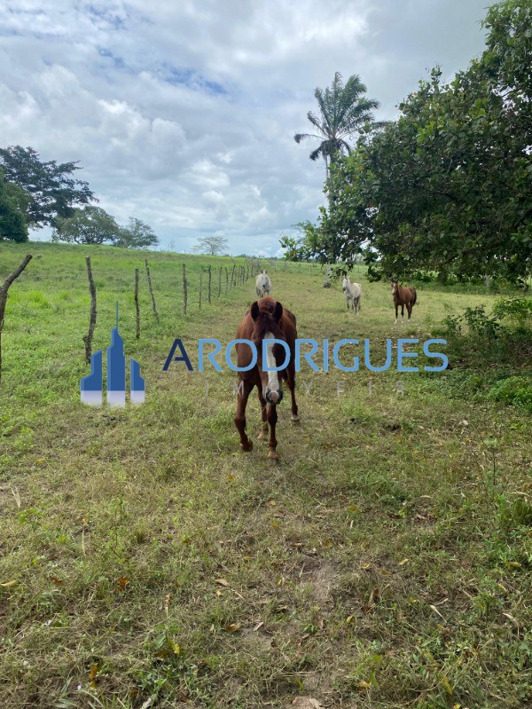 Fazenda, 4356 m² - Foto 5