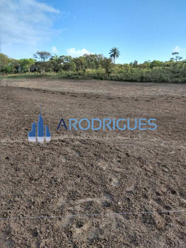 Loteamento e Condomínio, 4 hectares - Foto 4