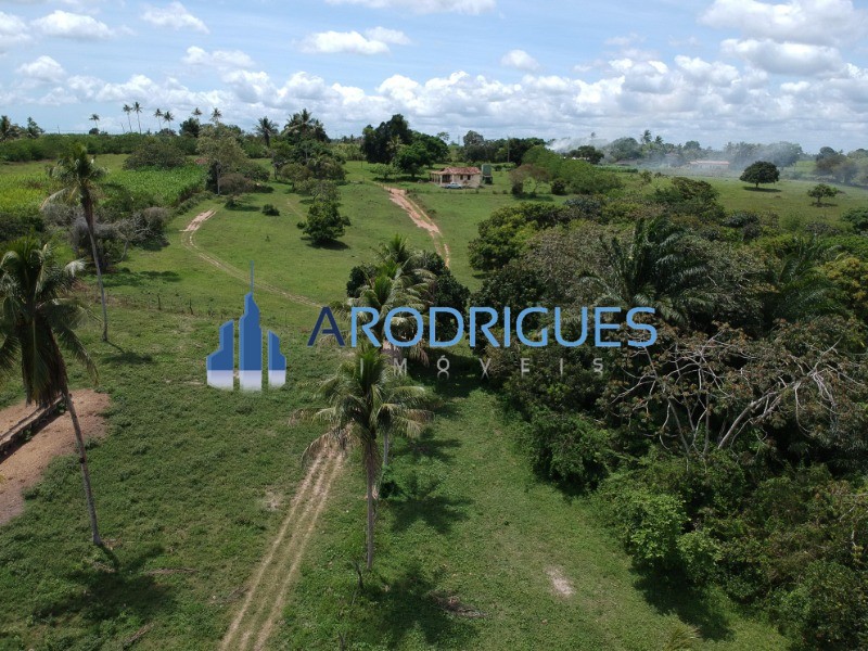 Fazenda, 4356 m² - Foto 15