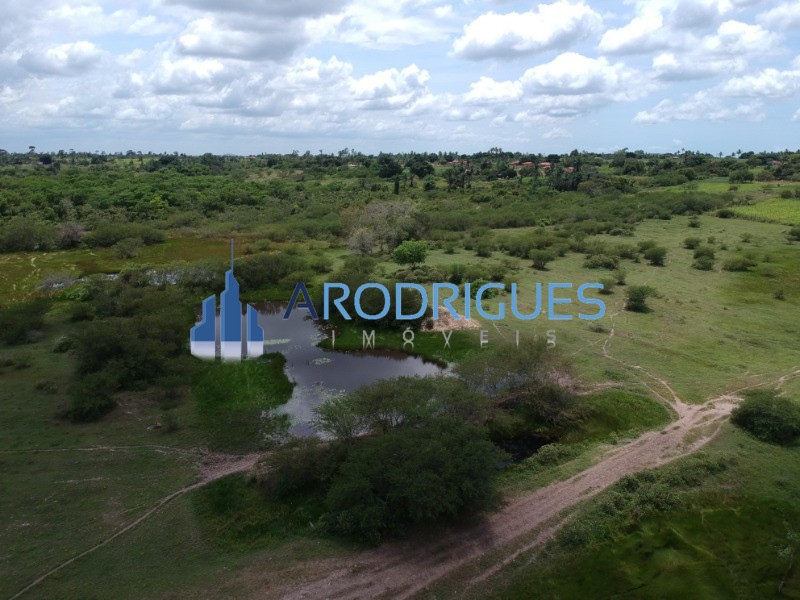 Fazenda, 4356 m² - Foto 8