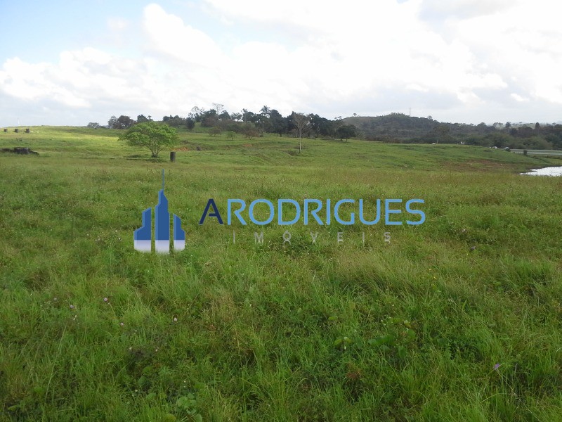 Fazenda - Foto 4