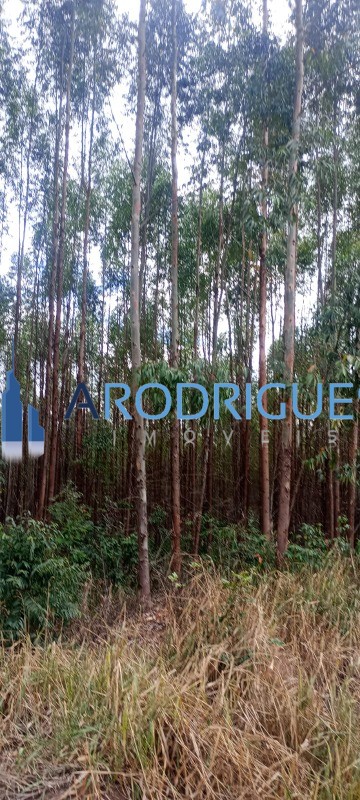 Fazenda, 453 m² - Foto 13
