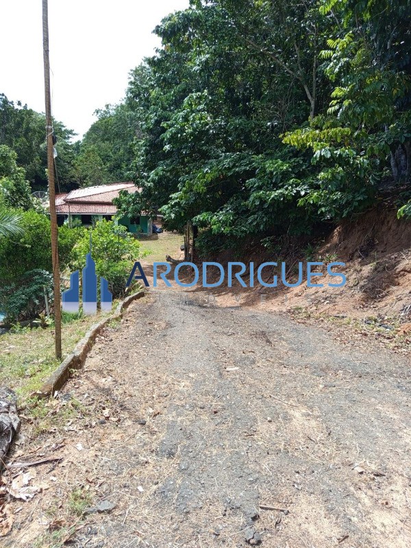 Chácara, 4 quartos - Foto 4