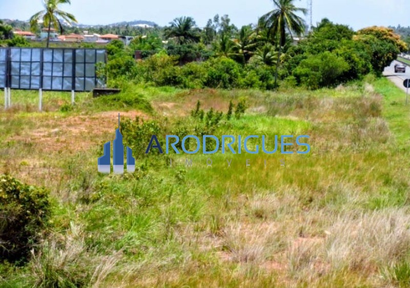 Terreno, 8000 m² - Foto 1