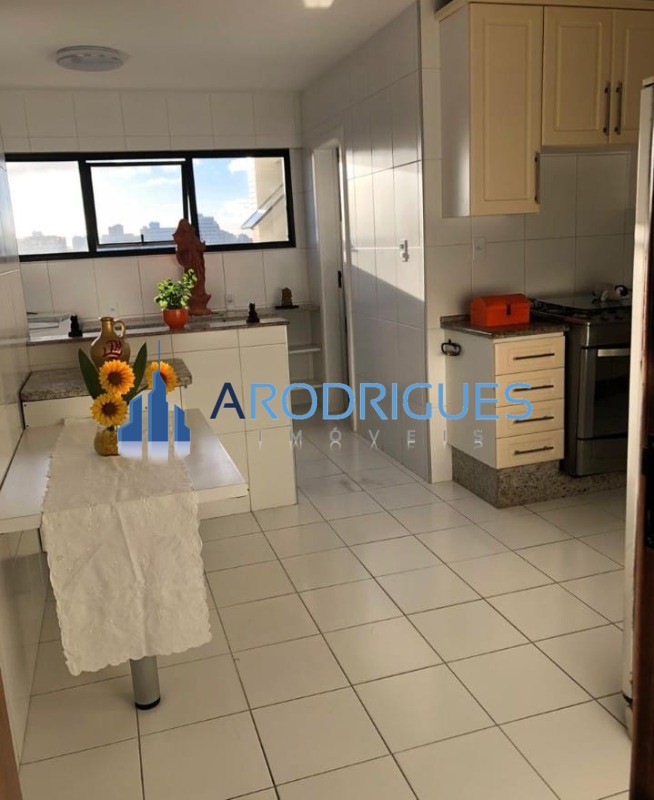 Apartamento, 4 quartos, 244 m² - Foto 14