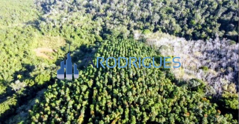 Fazenda, 11 hectares - Foto 2
