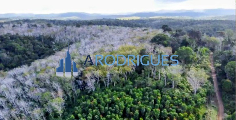 Fazenda, 11 hectares - Foto 1