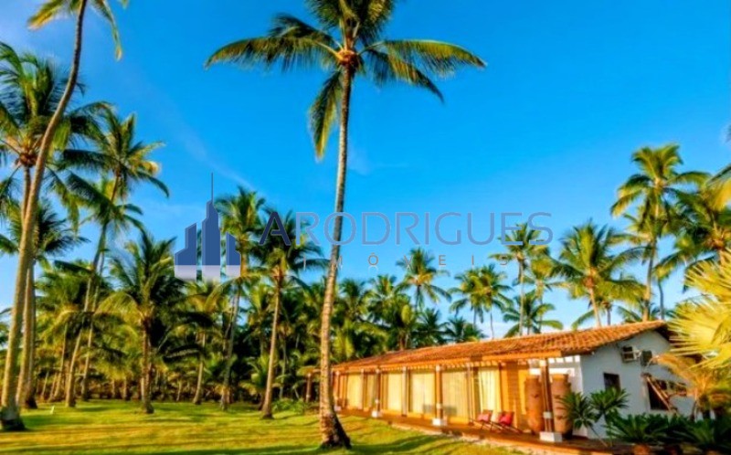 Terreno, 1 hectares - Foto 4