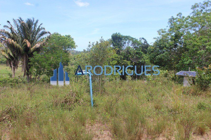 Fazenda, 20 hectares - Foto 14