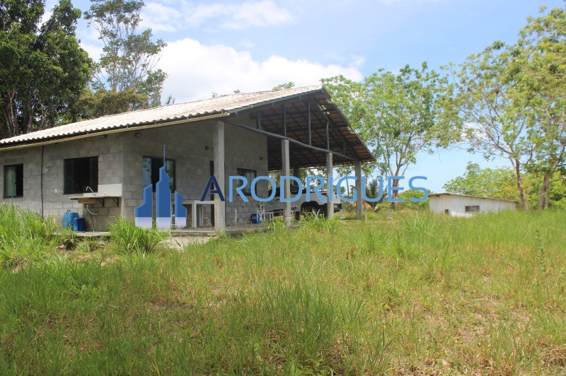 Fazenda, 20 hectares - Foto 28