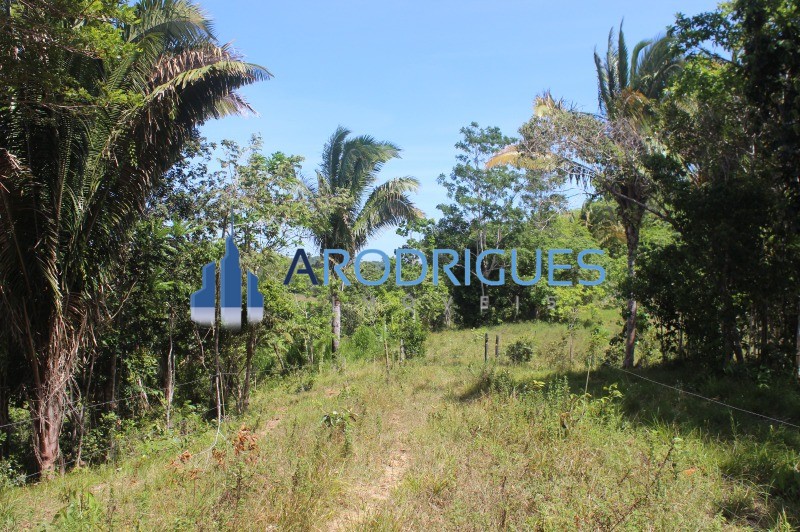 Fazenda, 20 hectares - Foto 9