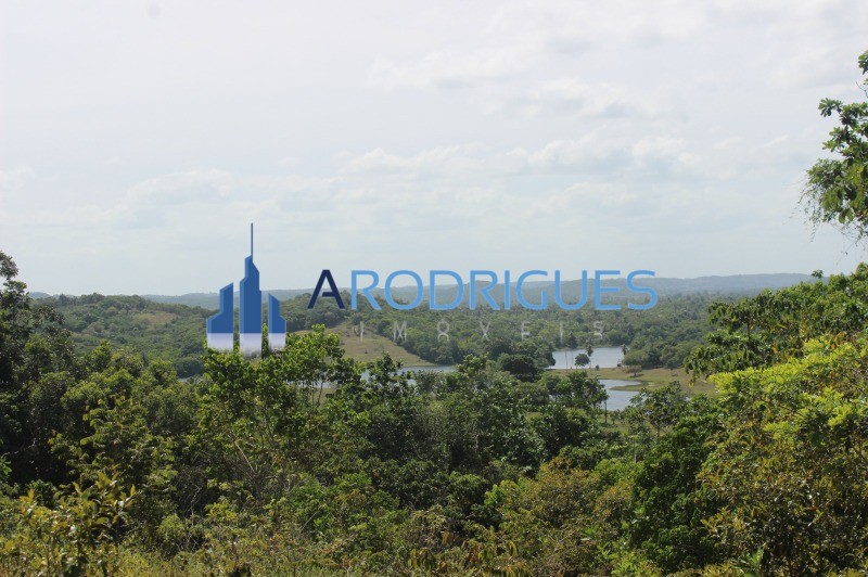 Fazenda, 20 hectares - Foto 3