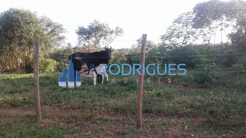 Fazenda, 5 hectares - Foto 9