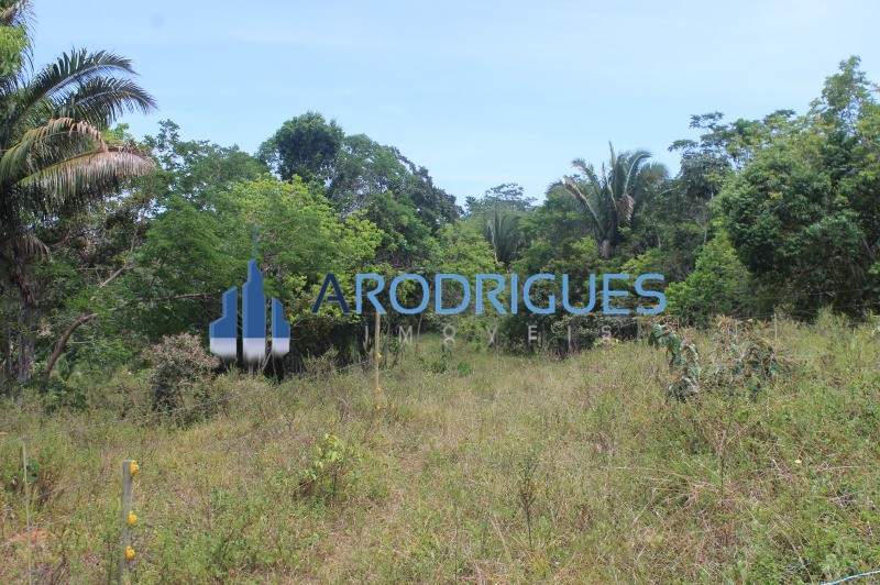 Fazenda, 20 hectares - Foto 15