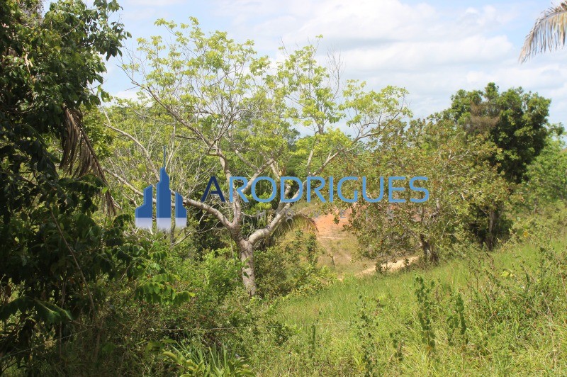 Fazenda, 20 hectares - Foto 25